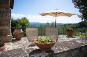 Agriturismo Fattoio alle Ripe Pelago